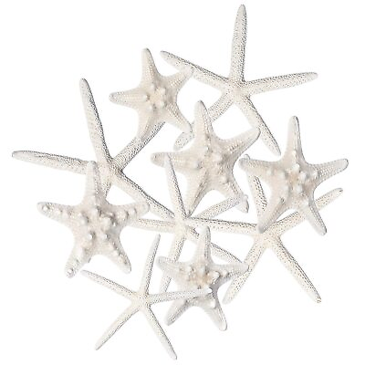 #ad Starfish Decor 10 Pack Assorted Star Fish 2 6 Inch Starfish for Crafts ... $25.81