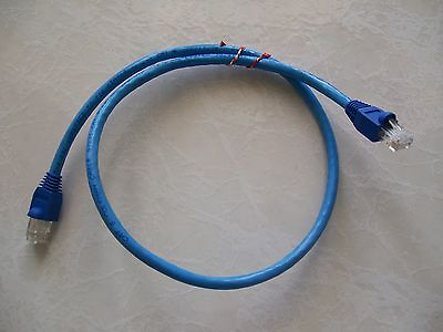 #ad 1 Foot Cat6 Patch Cord Ethernet Network Cable in Blue Cat 6 50 Pack $44.95