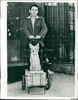 #ad #ad 1957 Brooklyn Newsboy Jack Melloy Dog Stops Paper Pilferers Animals 7X9 Photo $19.99
