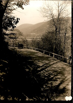 #ad GA157 Original Photo PICTURESQUE SCENIC NATURE PATH Mountains River Carriage $20.00