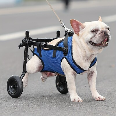 #ad Small Pet Wheelchair For Back Legs Dog Rehabilitation Walking Auxiliary Cart $37.05