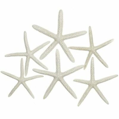 #ad Finger Starfish 6 White Finger Starfish 3quot; 4quot; Craft amp; Decor $10.99