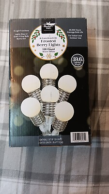 #ad Members Mark 8 Function LED Frosted Berry Lights 120 Count Warm White $24.99