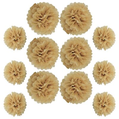 #ad 12 Pieces Tissue Paper Pompoms 10in and 12in Hanging Tissue Flowers Decoratio... $15.88