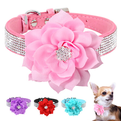 #ad Diamond Dog Collar with Big Flower Soft Suede Leather Bling Rhinestones Cat XS L $11.99