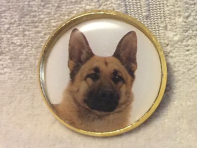 #ad 1quot; Puppy Dog Shepherd Husky Canine Gold Metal Shank Sew On Sewing Button CD45 $2.97