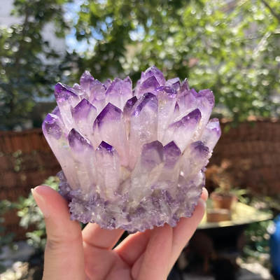 #ad 310g New Find Purple Ghost Phantom Cluster Geode Quartz Crystal Ornaments Decor $59.40