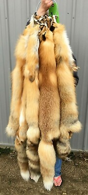 #ad Tanned Red Fox Winter “Heavy Fur” Western XL some Imperfections rfwhimp $49.95