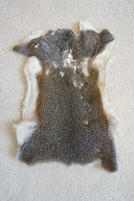 #ad Tanned squirrel fur pelt $12.00