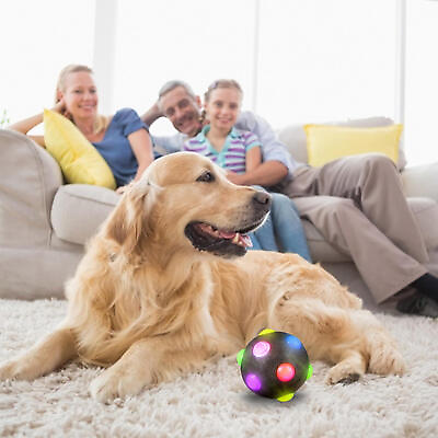 #ad Light Up Dog Ball Bite resistant Jolly Ball Soft Safe Interactive Dog Toy Ball $9.79