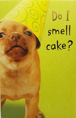 American Greetings Happy Birthday Card quot;Dog Smells Cakequot; Today And Always C $3.89