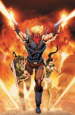 #ad Grifter Vol. 2: New Found Power The New 52 by Liefeld Rob Tieri Frank in $12.98