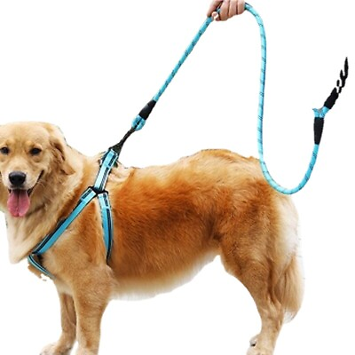 Reflective Dog Belt Pet Reflective Silk Traction Rope Reflective Nylon Suture $18.76