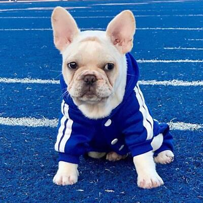 #ad #ad 4 Leg Pet Dog Clothes Cat Puppy Coat Winter Hoodies Warm Sweater Jacket Clothing $5.99