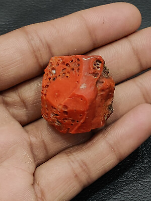 #ad Natural italian Red Coral Loose Rough Gemstone Unpolished Big Size Coral $174.99