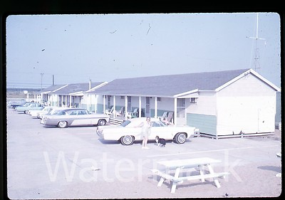 1960s Kodachrome photo slide Lady and Collie Dog Cars Automobiles $9.99