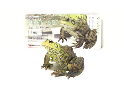 #ad KAIYODO YUJIN Japan Exclusive American Bullfrog Frog Animal Figure W paper $23.99