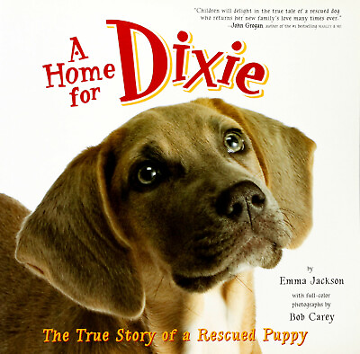 #ad A Home for Dixie: The True Story of a Rescued Puppy Children#x27;s Book Aus Stock AU $31.95