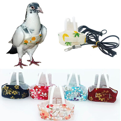 #ad Parrot Harness Leash Set Bird Outdoor Flying Rope Walking Tool Ultra light Cute C $7.49