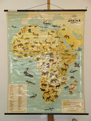 #ad Schulwandkarte Wall Map Picture Card Bildwandkarte Africa Animal World 1955 $258.65