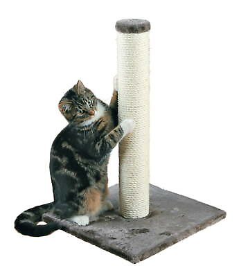#ad 24.5quot; Tall Cat Scratching Post Sturdy with Plush Base for Indoor Cats Gray $16.98
