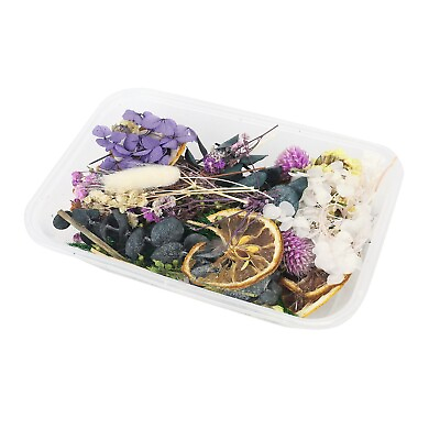 #ad 1PC Dried Flowers Natural Floral Art Craft Scrapbooking Resin Jewelry Making $6.88