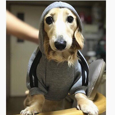 #ad 4 Leg Pet Dog Clothes Cat Puppy Coat Sports Hoodies Warm Sweater Jacket Clothing $7.99