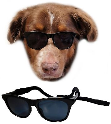#ad G006 Dog Medium Breeds 20 40 lbs Pet Cat 80s Costume Prop Sunglasses Black $21.99