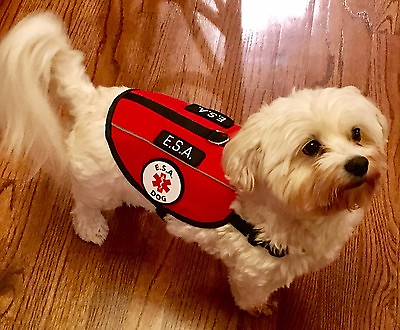 #ad #ad Service Dog Vest ESA Harness Emotional Support Animal Patches ALL ACCESS CANINE™ $29.95