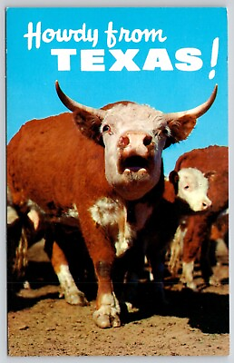 #ad Howdy Texas Cows Cattle Animal Baxter Lane Post Card Amarillo TX VTG Postcard $12.00
