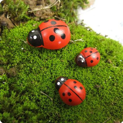 #ad Artificial Ladybird Insect Craft Decors Micro Landscape Miniature Decor 50pcs $14.50