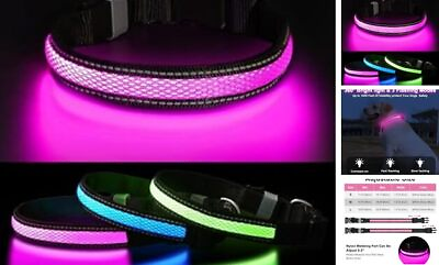 #ad Light Up Dog Collar Glow Dog Collar RechargeableSuper Bright Lighted M Pink $21.38
