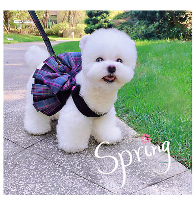 #ad Small Medium Dog Dress Harness Leash Mesh Puppy Vest for Schnauzer Poodle Yorkie $10.44