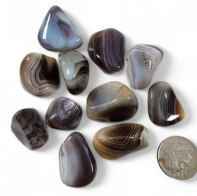 #ad Botswana Agate Polished Stones 56.6 grams. $5.99