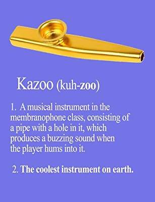 #ad Kazoo: The Coolest Instrument On Earth Paperback GOOD $11.03