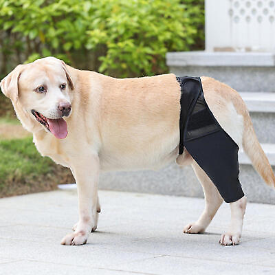 #ad Dog Hip Brace Adjustable Pet Dog Legs Protector Supportere for Dogs Legs Recover $16.57