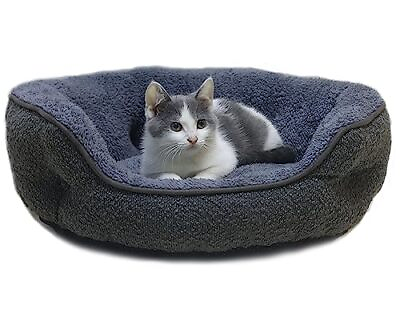 #ad Dog Beds for Small Dogs Round Cat Beds for Indoor Cats Washable Pet Bed for... $26.37