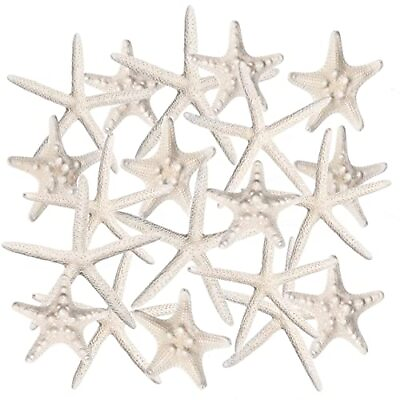 #ad Starfish Decor 20 Pack Assorted Star Fish 26 Inch Starfish For Crafts White Star $28.25