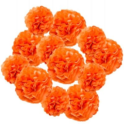 #ad 12Pcs Tissue Paper Pompoms 10 12in Paper Flower Ball for Birthdays and Specia... $16.83