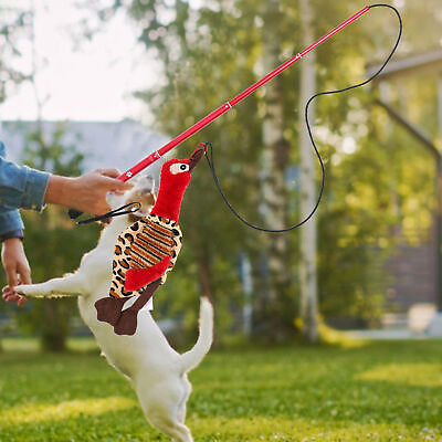 #ad #ad 1 Set Funny Dog Stick Non slip Exercise Training Dog Teaser Wand Pet Training $21.84