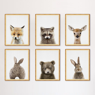 #ad Cute Animals Pictures Canvas Printing Art Poster Wall Decor Ornament Gift $6.88