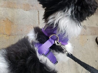 Pet Dog Control Harness Collar Safety Strap Vest with Reflector for Night Safety $9.99