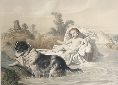 #ad Baby Saved Per Un Dog Per Joseph Felon 1818 1896 Litho Towards 1850 Lifeguard $64.72