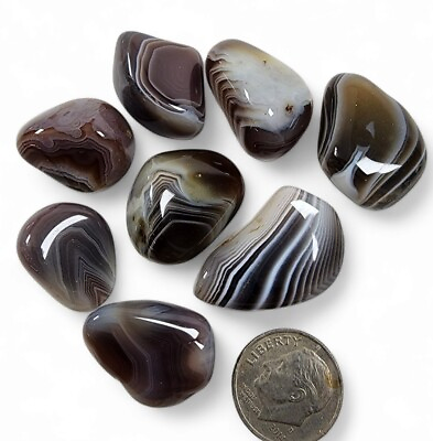 #ad Agate Botswana Polished Stones 43.6 grams 5 Piece Lot $6.99