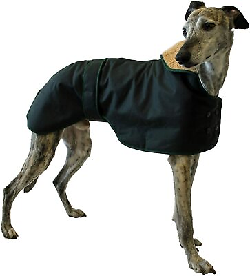 #ad Cosipet Greyhound Hunter 18 inch 45 cm Green AU $69.15
