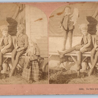 #ad 1891 Boy asks quot;Is this your Cat?quot; Cute White Kitten Real Photo Stereo Card V16 $20.50