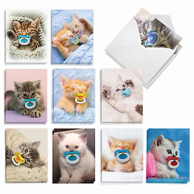 #ad 20 Blank All Occasion Cards 10 Designs 2 Each Cat Pacifiers AM9171OCG B2x10 $16.97