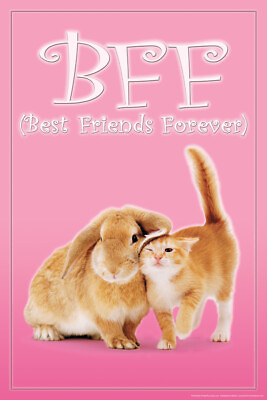 #ad BFF Best Friends Forever Bunny Kitten Rabbit Cat Cute Print Poster 12x18 $10.98