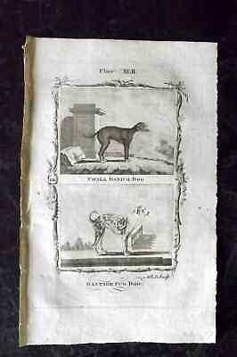 #ad Buffon 1785 Antique Dog Print. Small Danish amp; Bastard Pug GBP 25.00