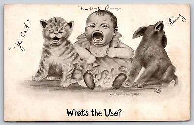 #ad Animal Comic Dog amp; Cat Baby amp; Critters Cry Together What#x27;s The Use V Colby 1910 $3.50